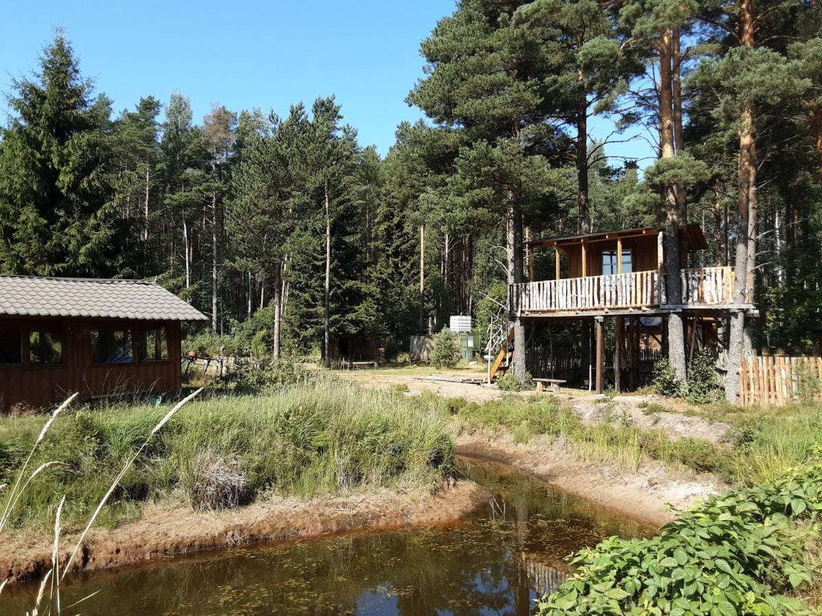 Elulong Camping Lohusuu Zewnętrze zdjęcie