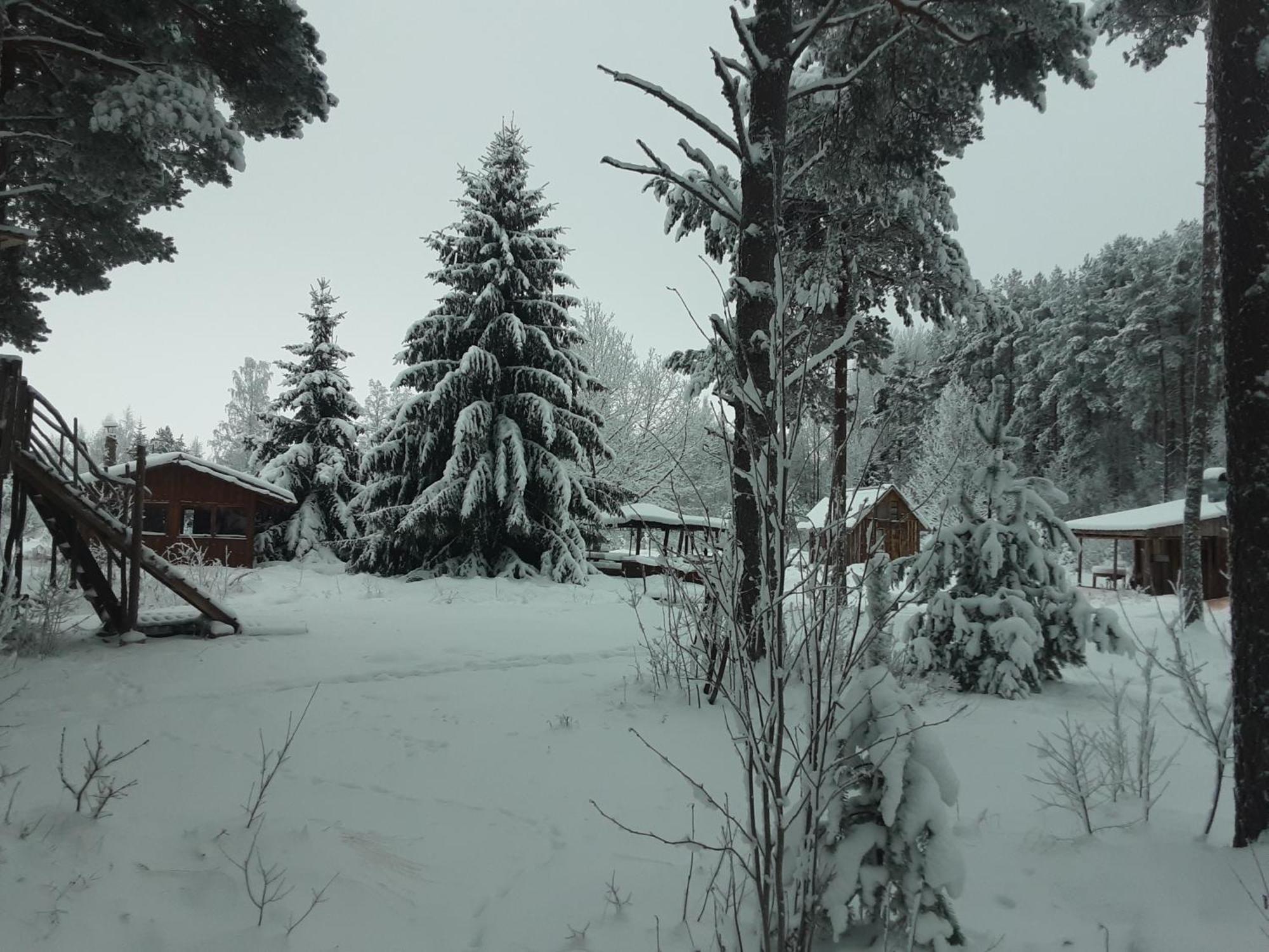 Elulong Camping Lohusuu Zewnętrze zdjęcie
