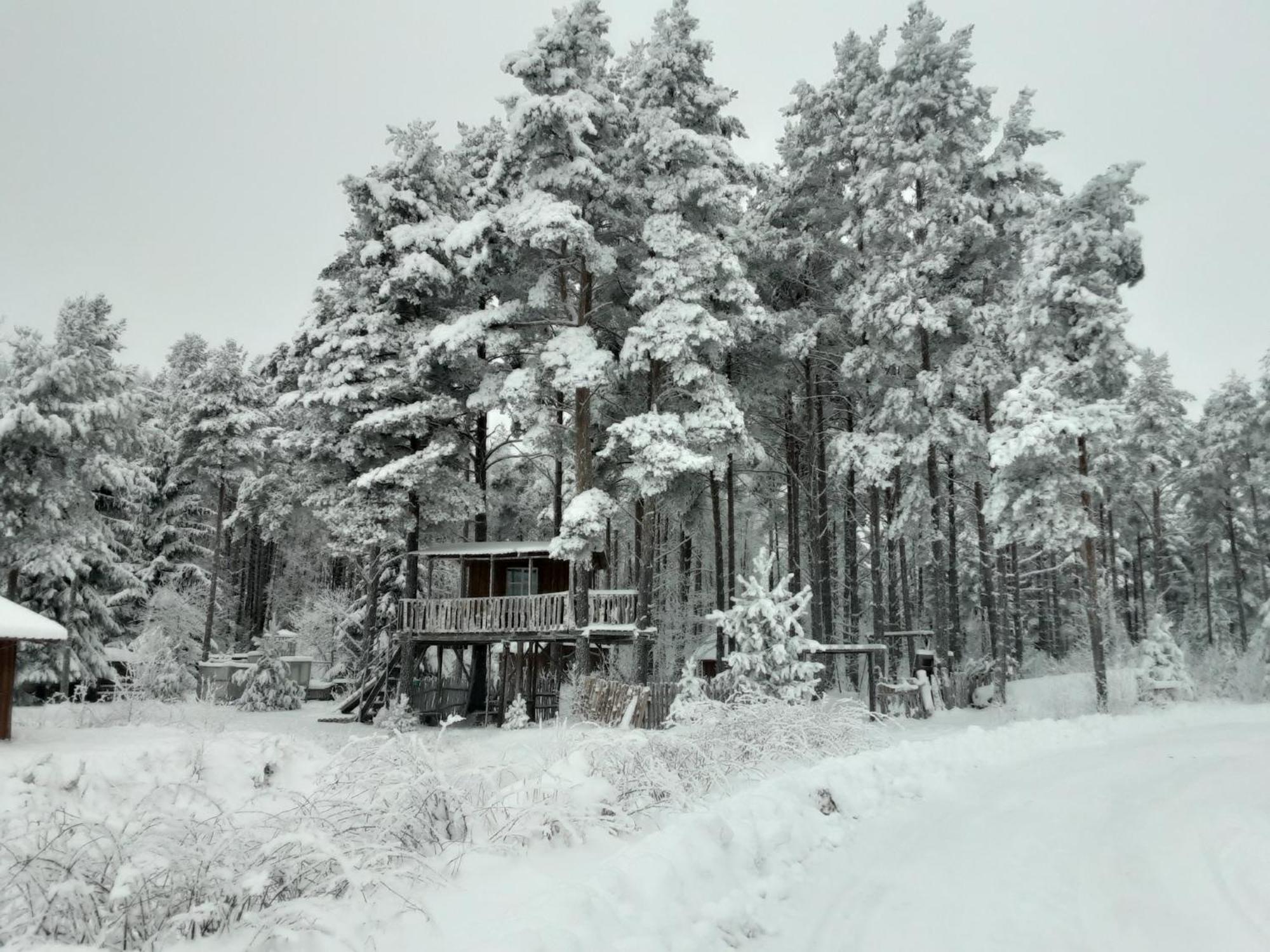 Elulong Camping Lohusuu Zewnętrze zdjęcie