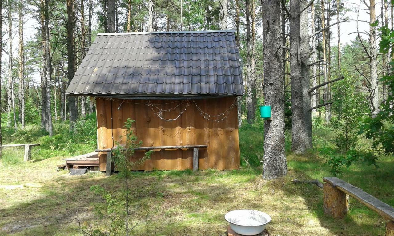 Elulong Camping Lohusuu Zewnętrze zdjęcie